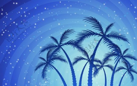 梦幻星空椰子树图片