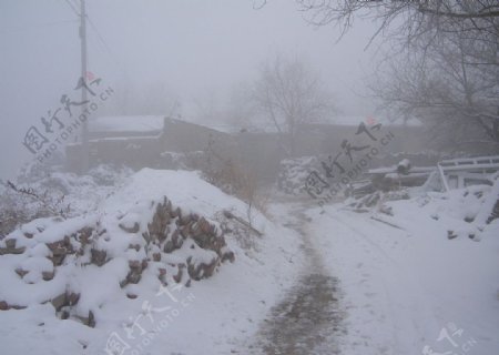 雪中小院图片