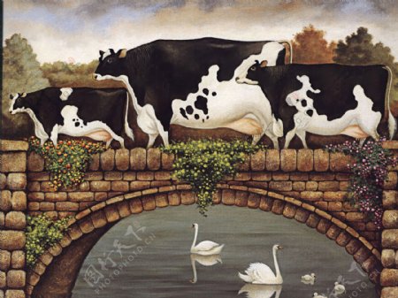 农场奶牛图片