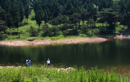 林场风光图片