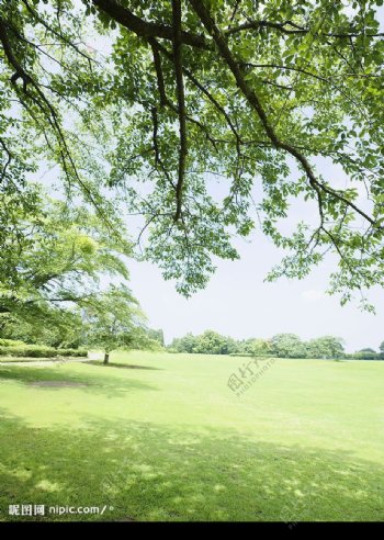 草原风景图片