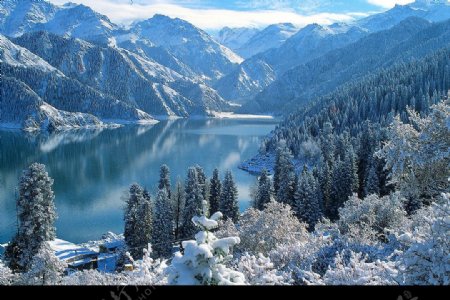 冬景迷人图片