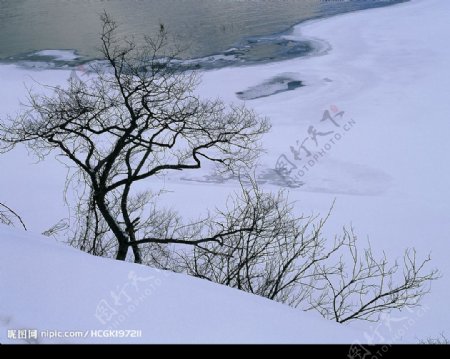 雪景高清图片