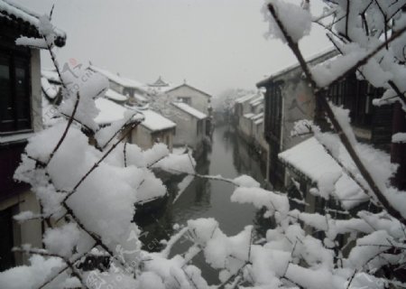 周庄雪景图片