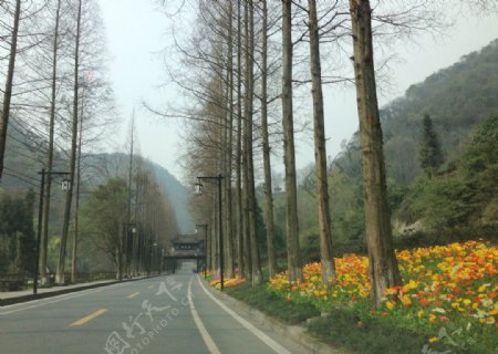 青城山路图片