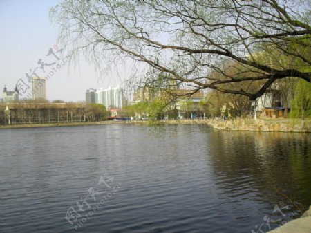 天津大学校园图片
