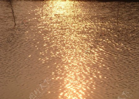 洒在水面上的夕阳图片