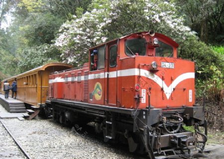 阿里山森林火车图片