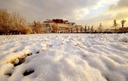 冬日布达拉宫图片