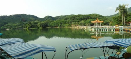 仙湖弘法寺图片