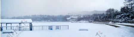 南山雪景图片