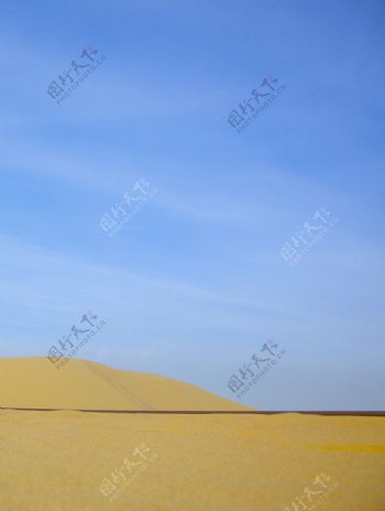 金色的沙漠和蓝天图片