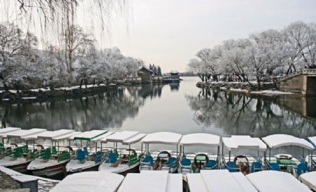 颐和园西提雪景图片