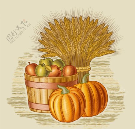 秋天的果实麦穗南瓜背景图片