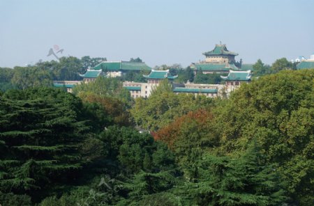 武汉大学风景图片