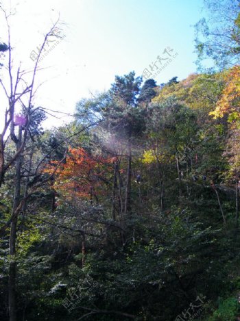 武当山景色图片