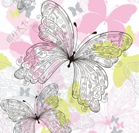花紋蝴蝶图片