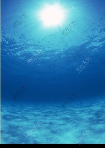 太阳下的蓝色海水图片