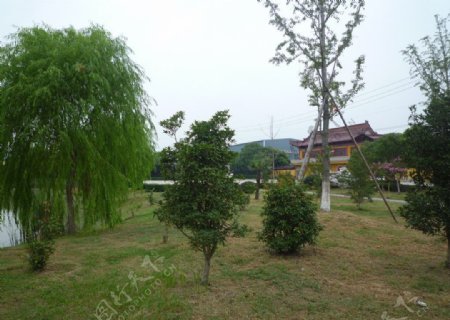 高塍社区东城禅寺文化广场图片