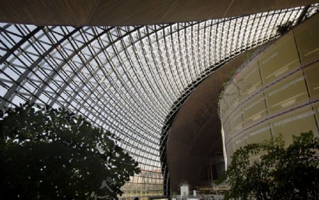 国家大剧院穹顶图片