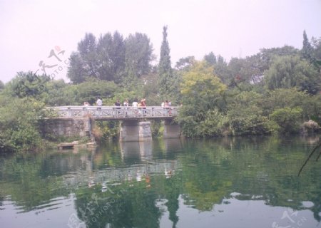 小桥湖水绿树图片
