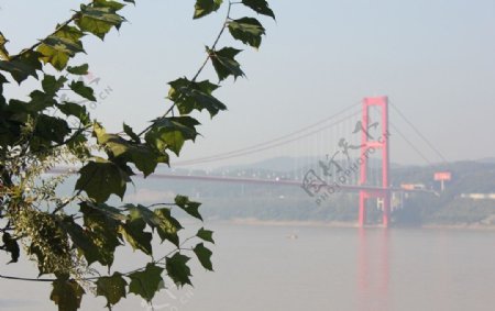 宜昌长江大桥图片