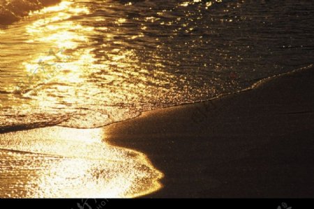 海水波光粼粼图片
