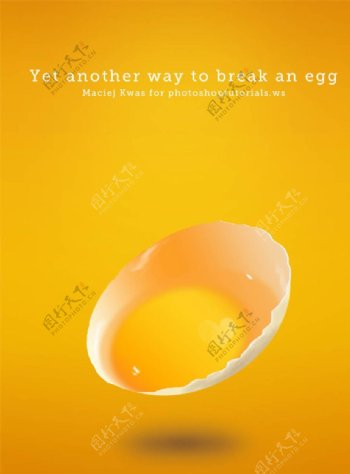 鸡蛋鸡蛋黄鸡蛋清图片