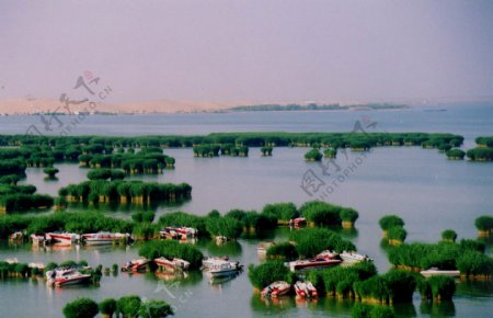 宁夏沙湖图片