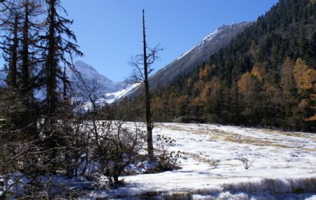 雪山冰河图片