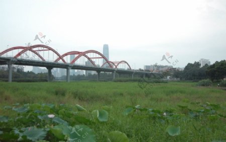 深圳笋岗彩虹桥图片