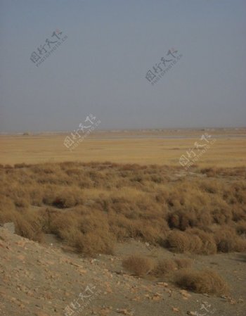 沙之漠图片