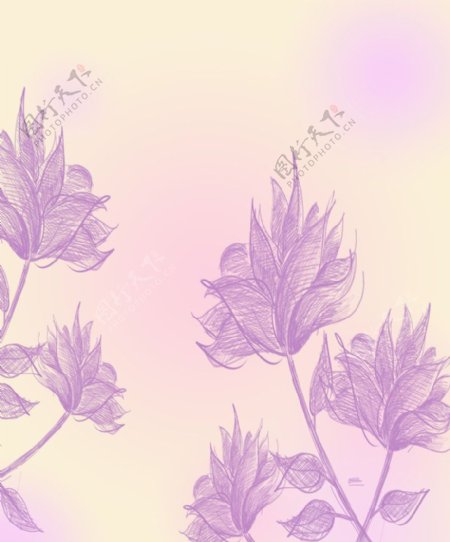 手绘紫色莲花移门图片