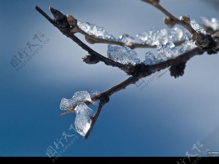 冰雪世界图片