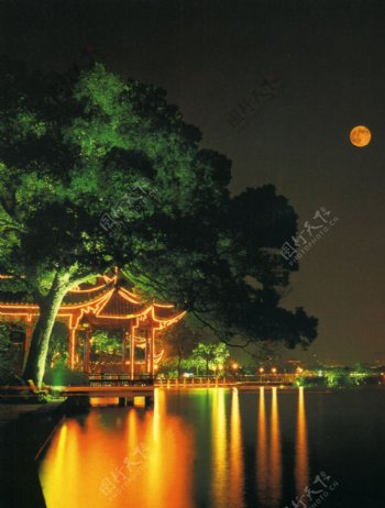 西湖夜景图片