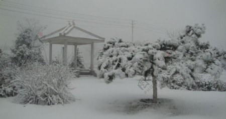 雪天景色图片