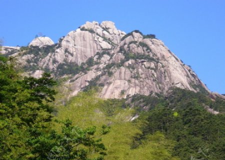 黄山风景图片