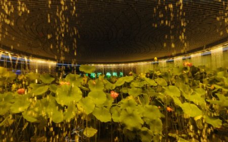上海世博会中国馆低碳区展馆图片