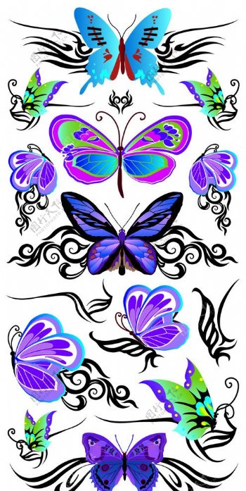 纹身蝴蝶图片