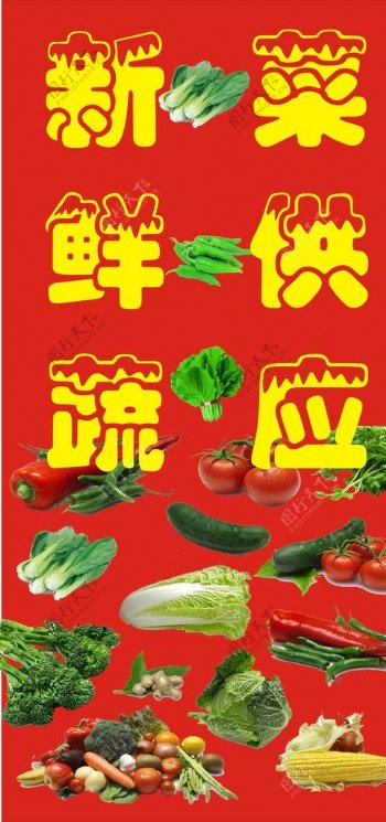蔬菜供应图片