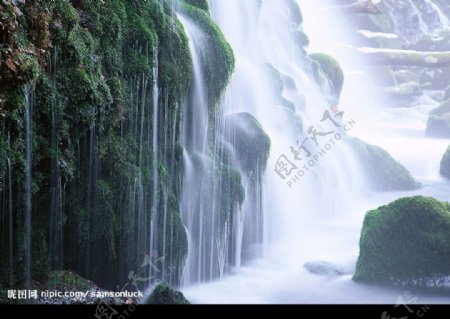 季节景致溪流水源5瀑布图片