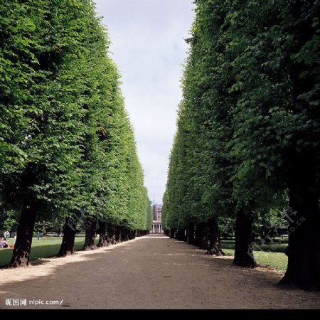 路边风景图片