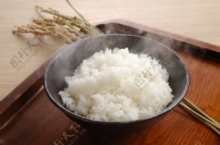 大米米饭鲜米饭图片