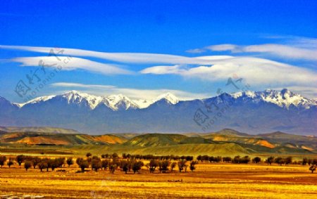 美丽的新疆大草原图片