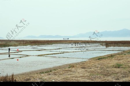 乐清湾的海滨养殖场图片