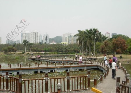 深圳洪湖公园图片