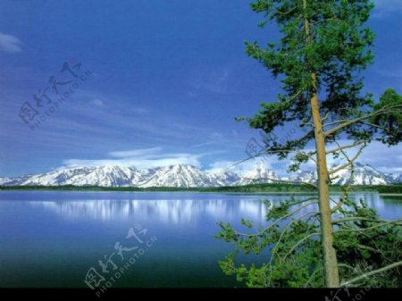 雪山湖树蓝天静湖图片
