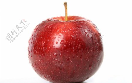 红色大苹果图片
