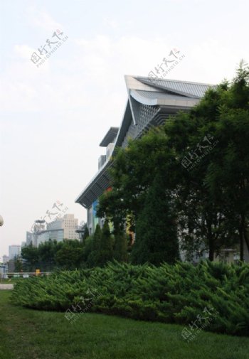 北京奥运会乒乓球馆图片