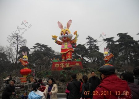 玄武湖公园中华第一兔图片